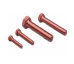 Silicon Bronze Square Bolt