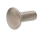 Stainless Steel 317 / 317L Carriage Bolt